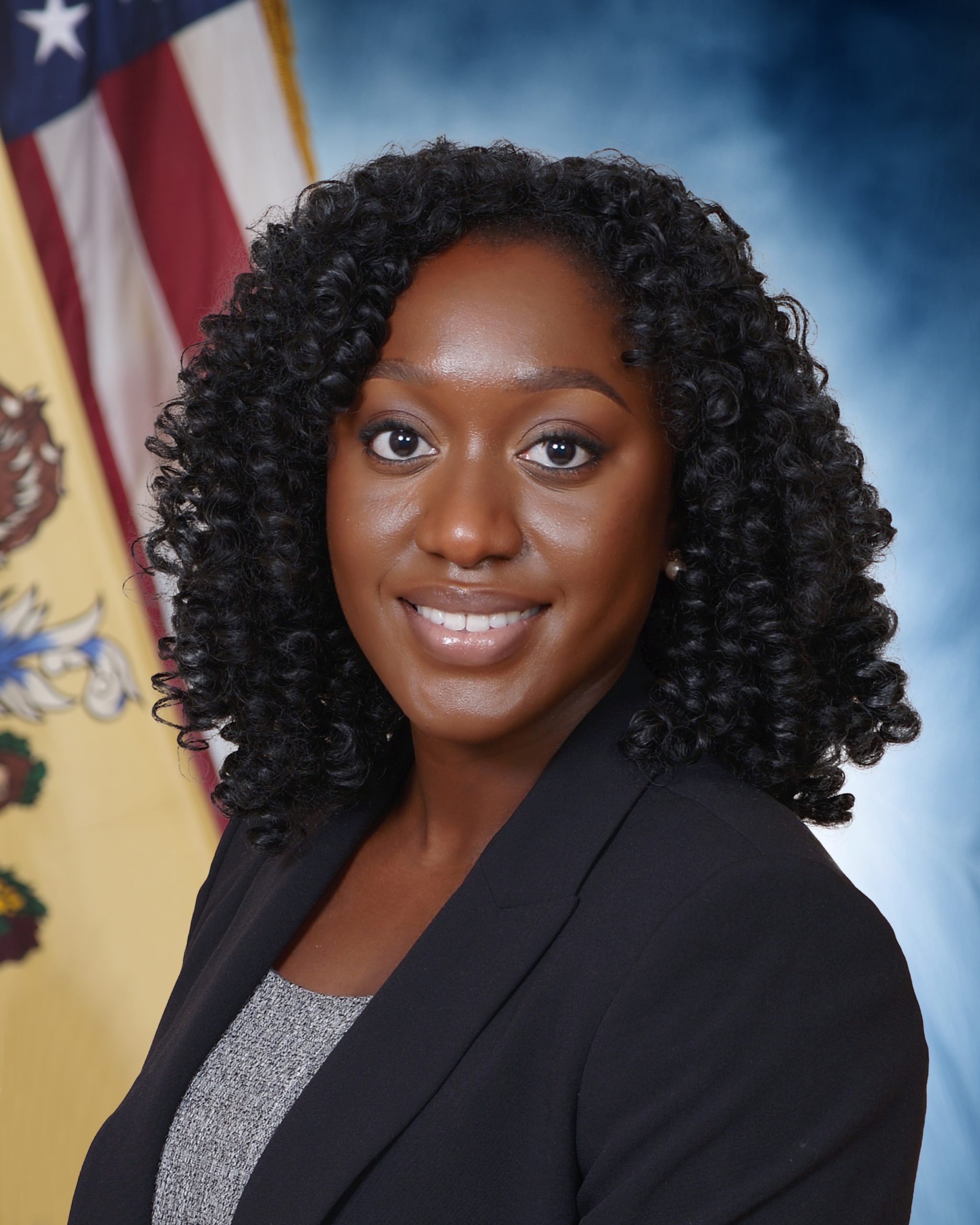 </p>
<h3 style="color:white;">Adedayo Adu</h3>
<h5 style="color:white;font-style:italic;">Counsel to the Attorney General</h5>
<p>