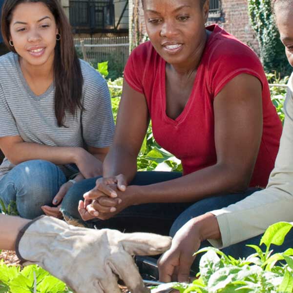 NJDEP Environmental Justice Home